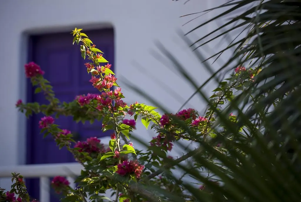 Kivotos Mykonos - Preferred Hotels & Resorts Ornos